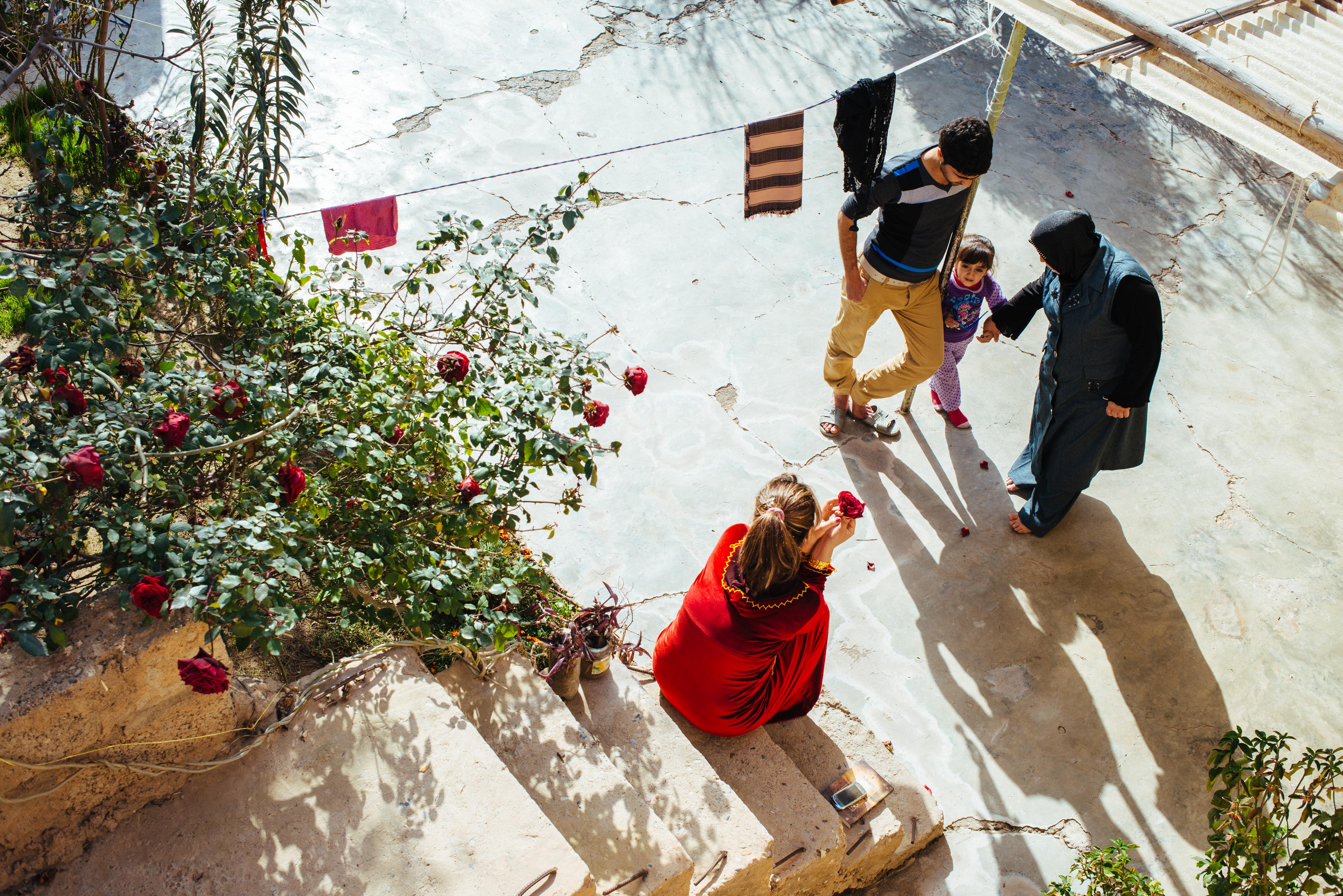 Family Reunification, Iraq, 2013