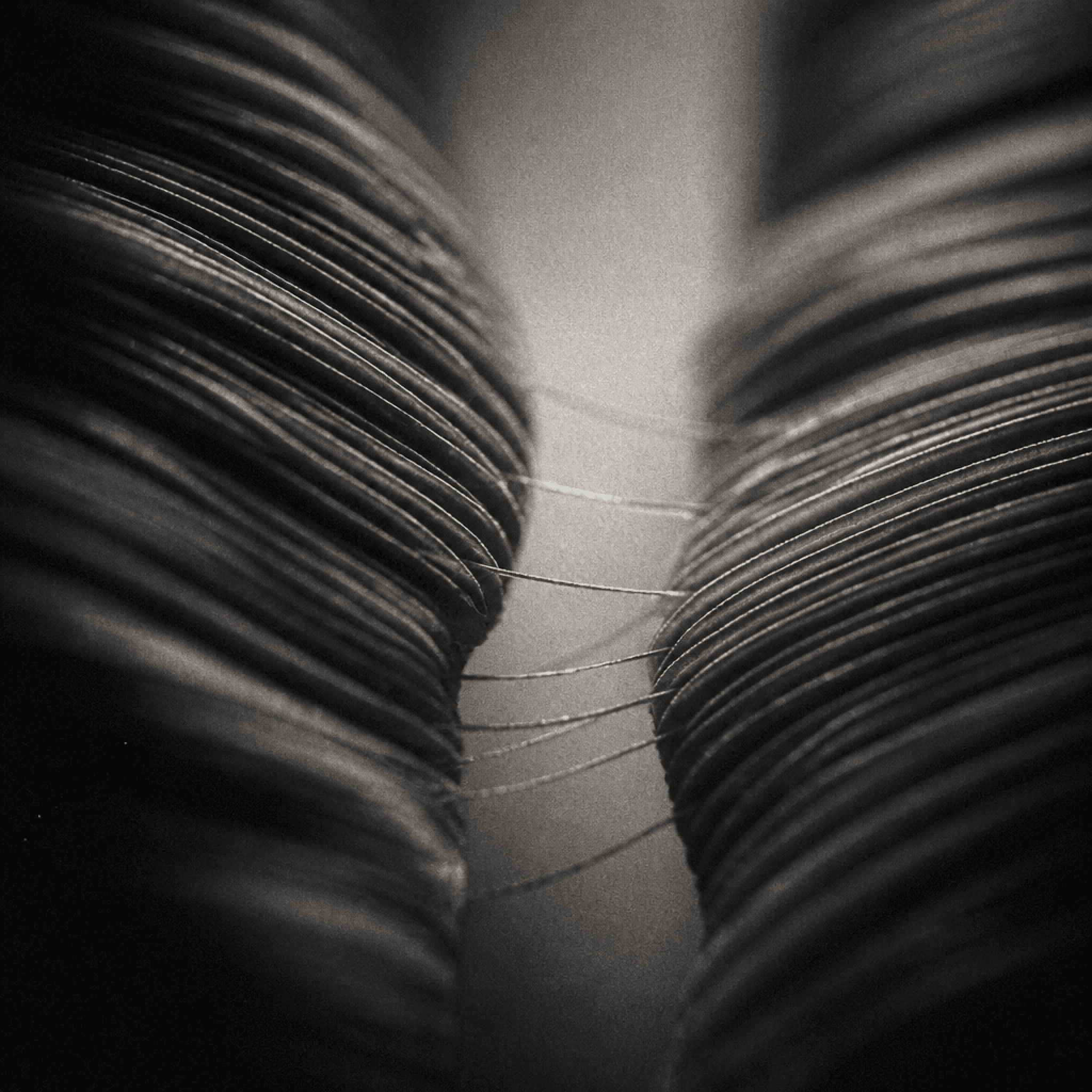 Two surfaces meeting at an edge