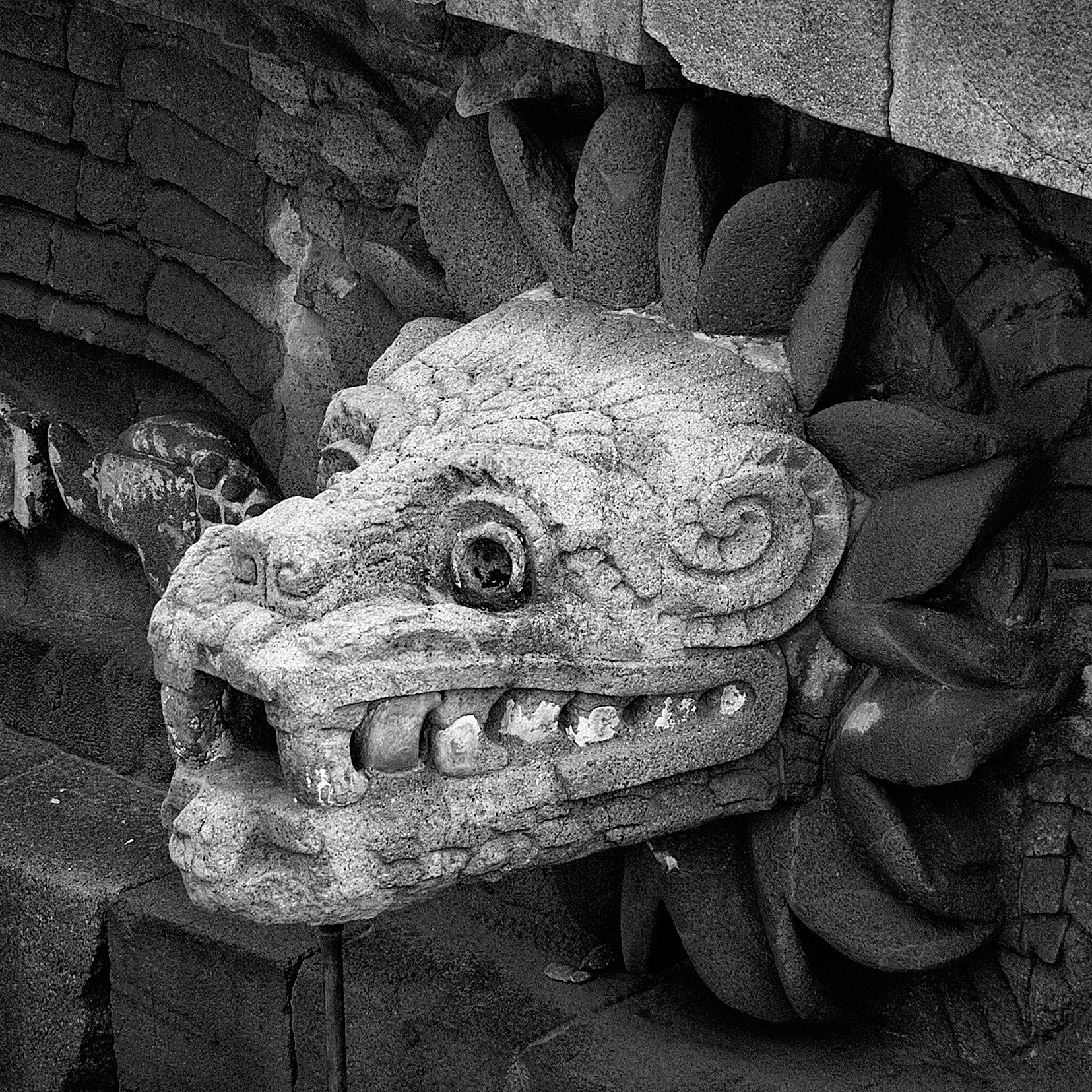 Close-up black and white image of a stone serpent head sculpture at Teotihuacán, representing the deity Quetzalcóatl.
