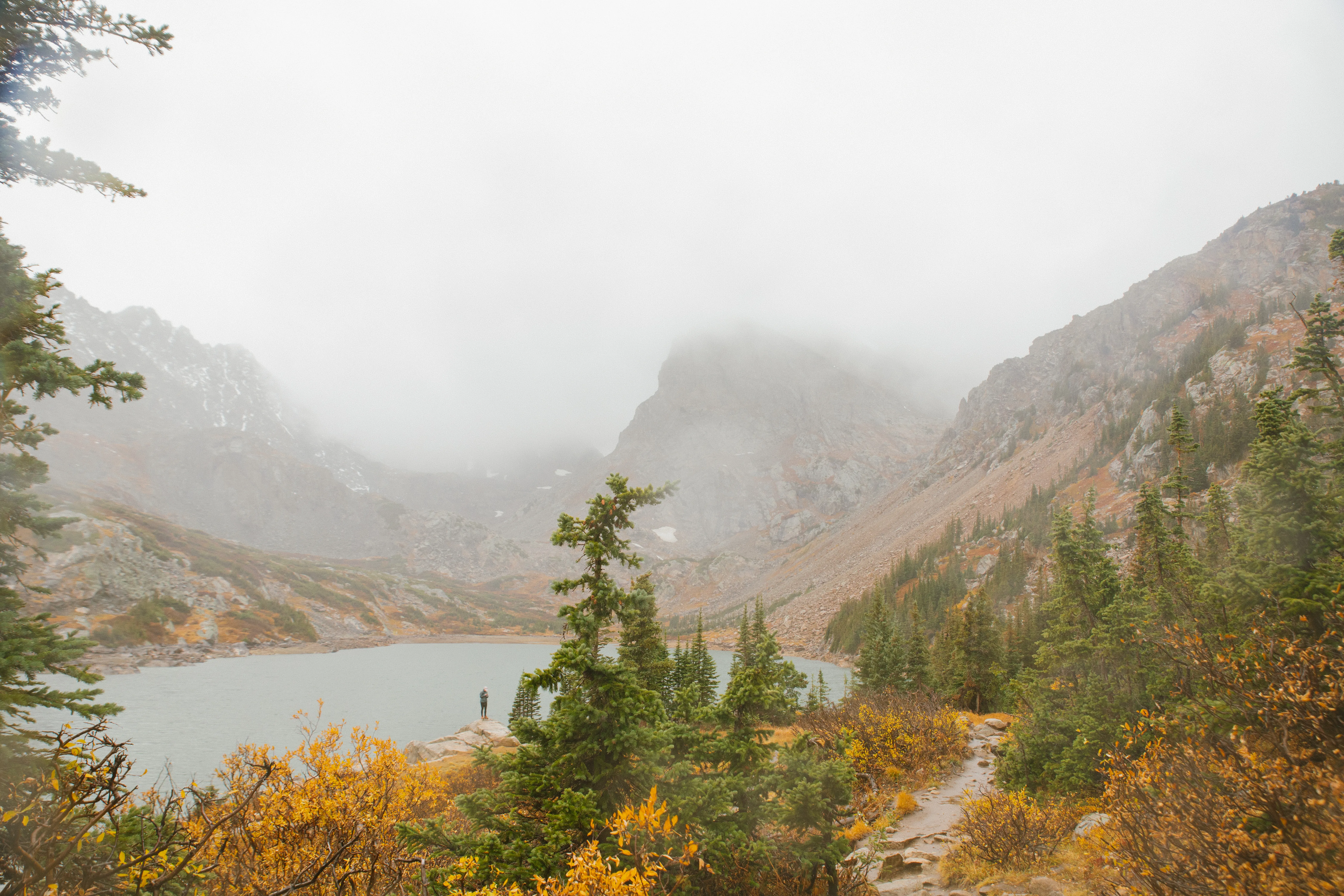 Streetside billboard with flyposters of the Batch.Works brand and illustrations