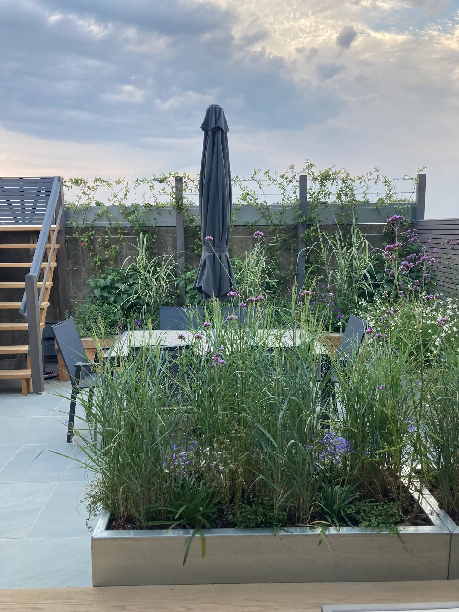 A rooftop garden featuring tall green plants with a skyline in the background under a cloudy sky.