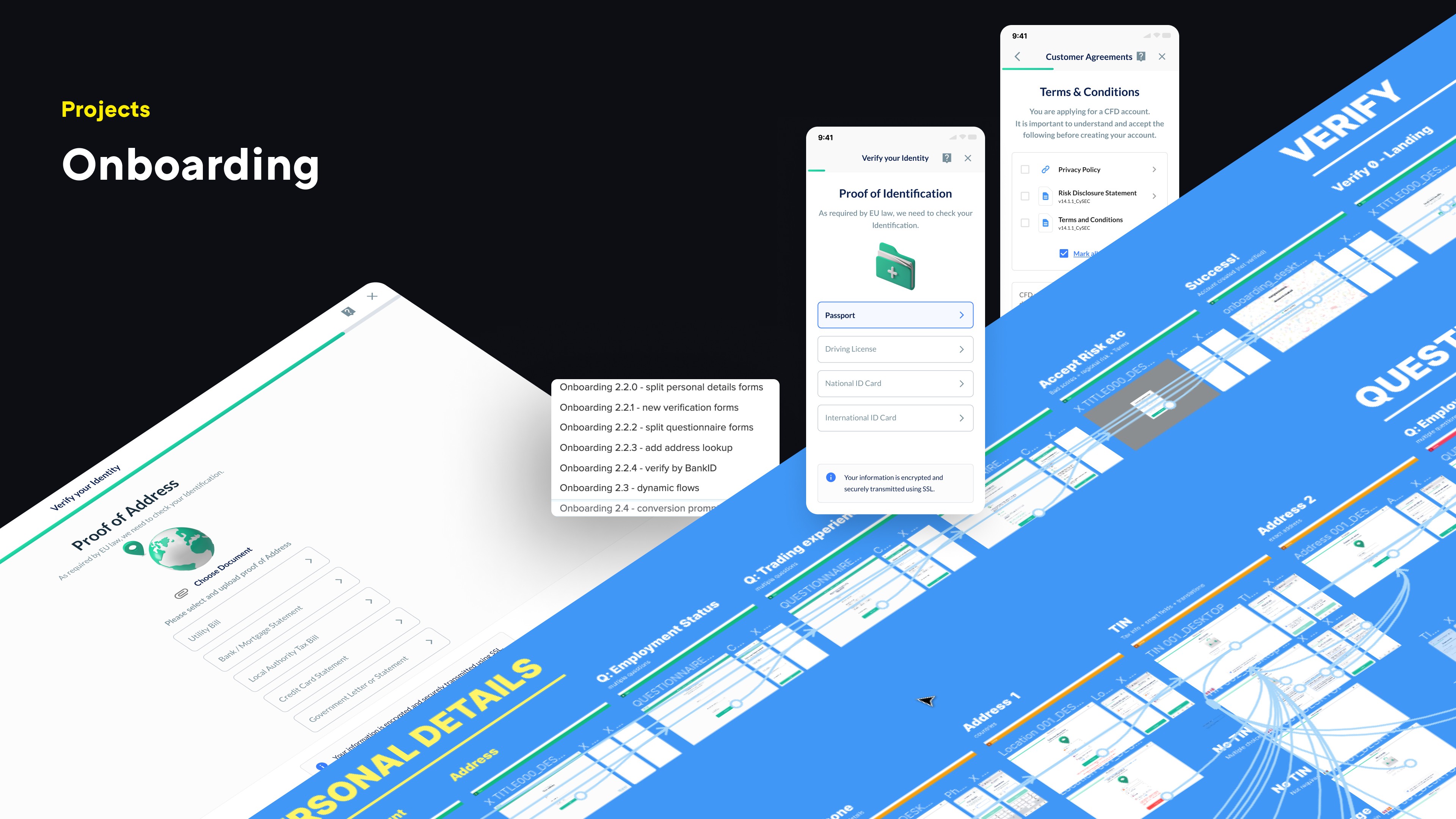 Dom Pérignon vineyards from the sky