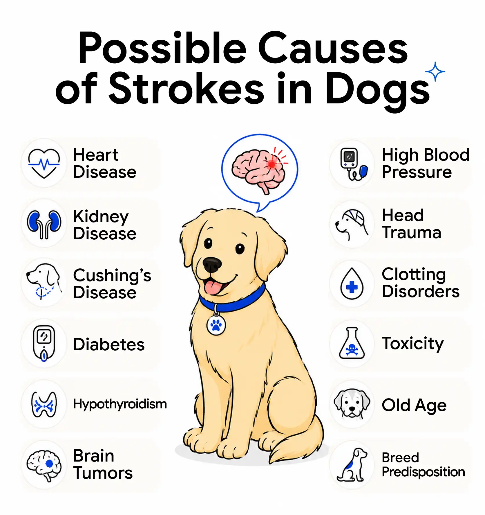 Possible Causes of Strokes in Dogs
