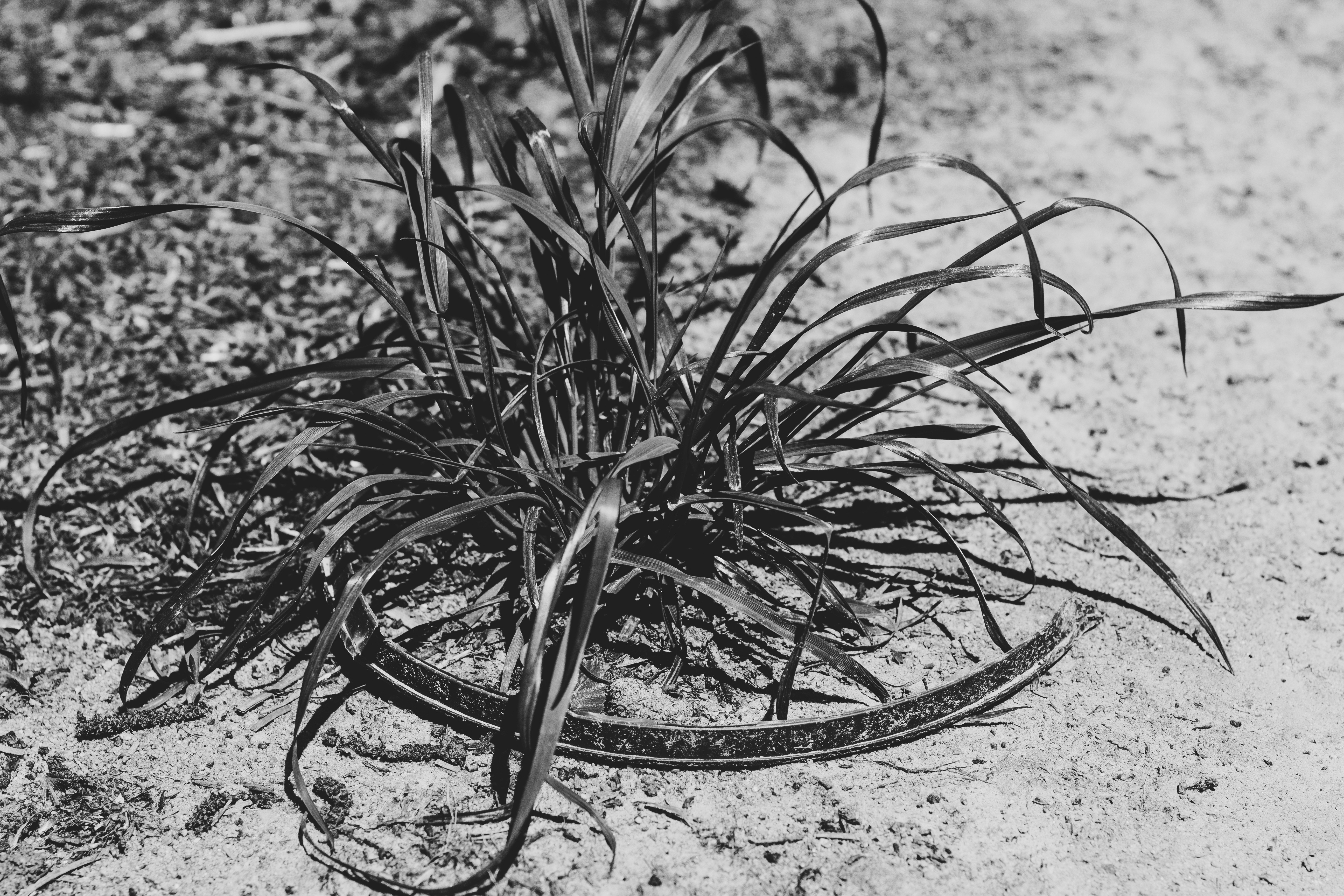 low angle photography of building