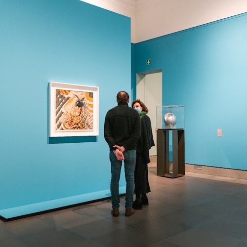 两个人在艺术画廊中观察挂在蓝墙上的一幅画作，旁边的基座上展示着一座雕塑。