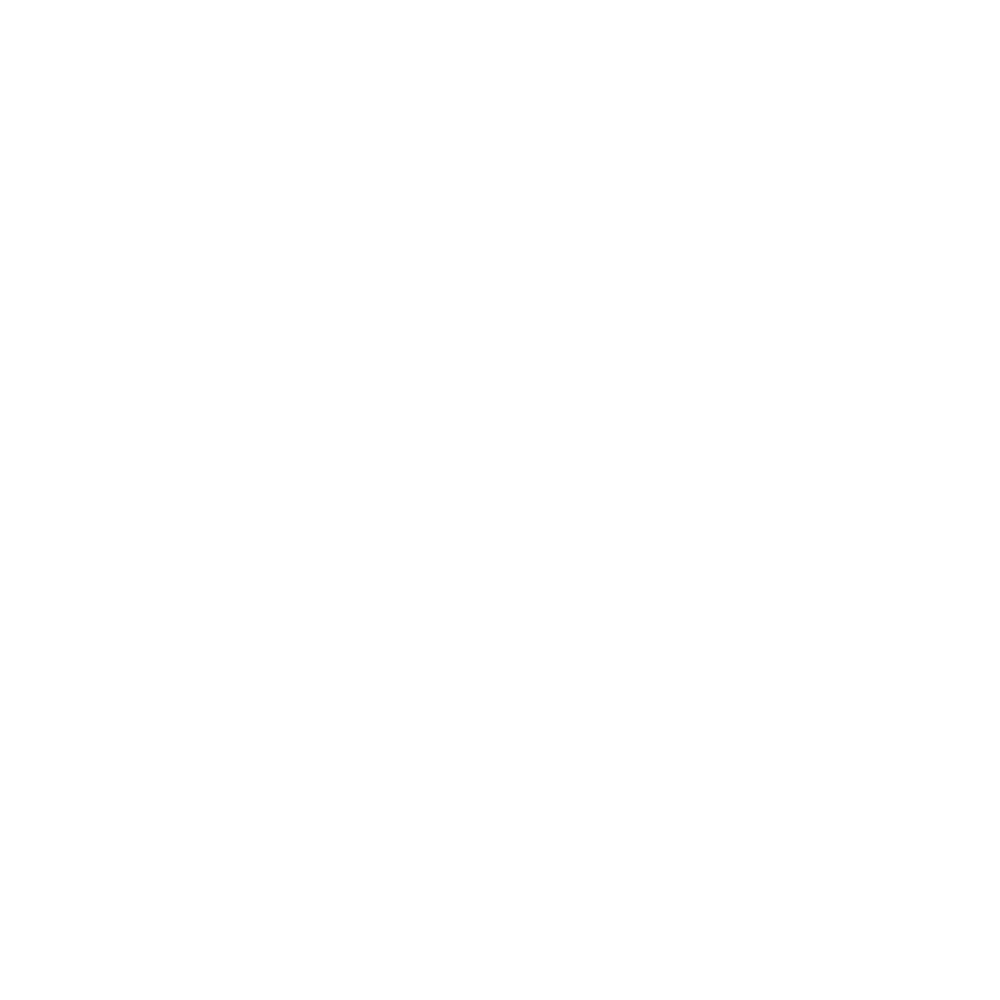 Social Icon