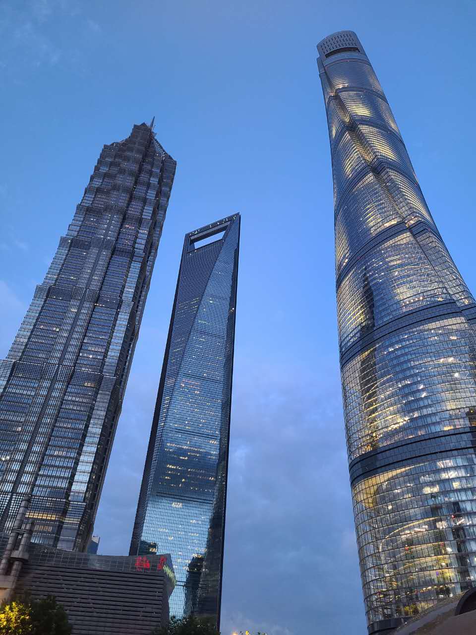 Lawyer portrait photo