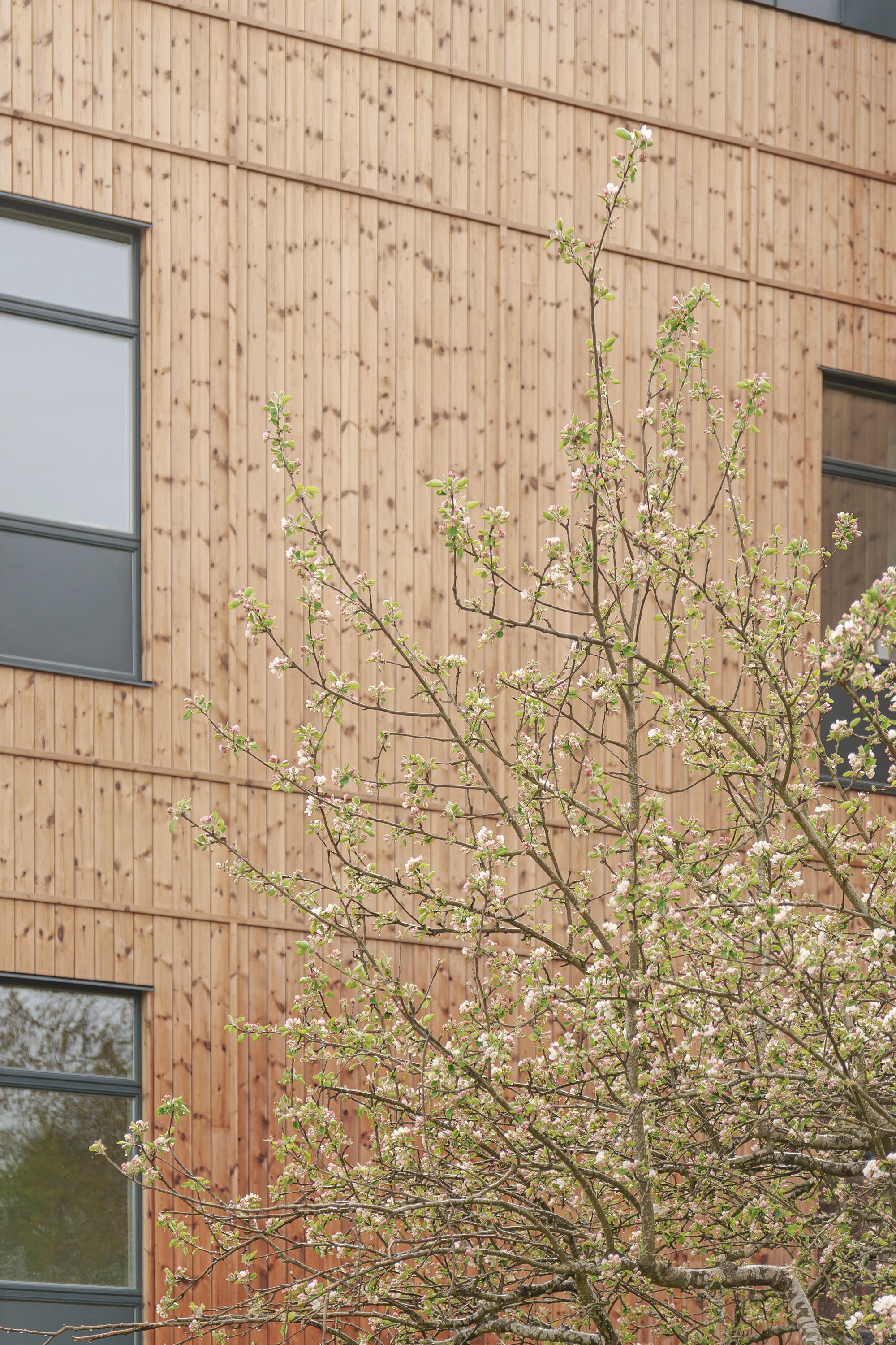 Fastighetsfoto/Inredning