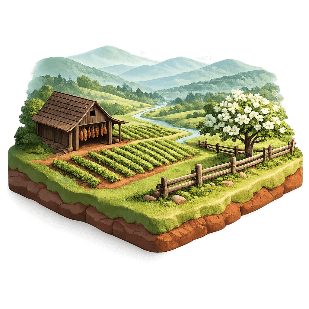 Artistic illustration of the Yadkin Valley wine region.
