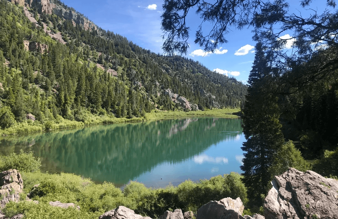 Green lake reflecting a mountain covered in trees