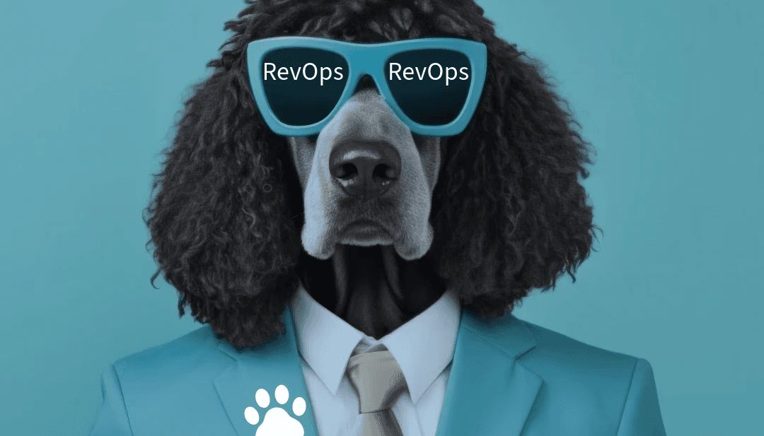 RevOps Best friend image