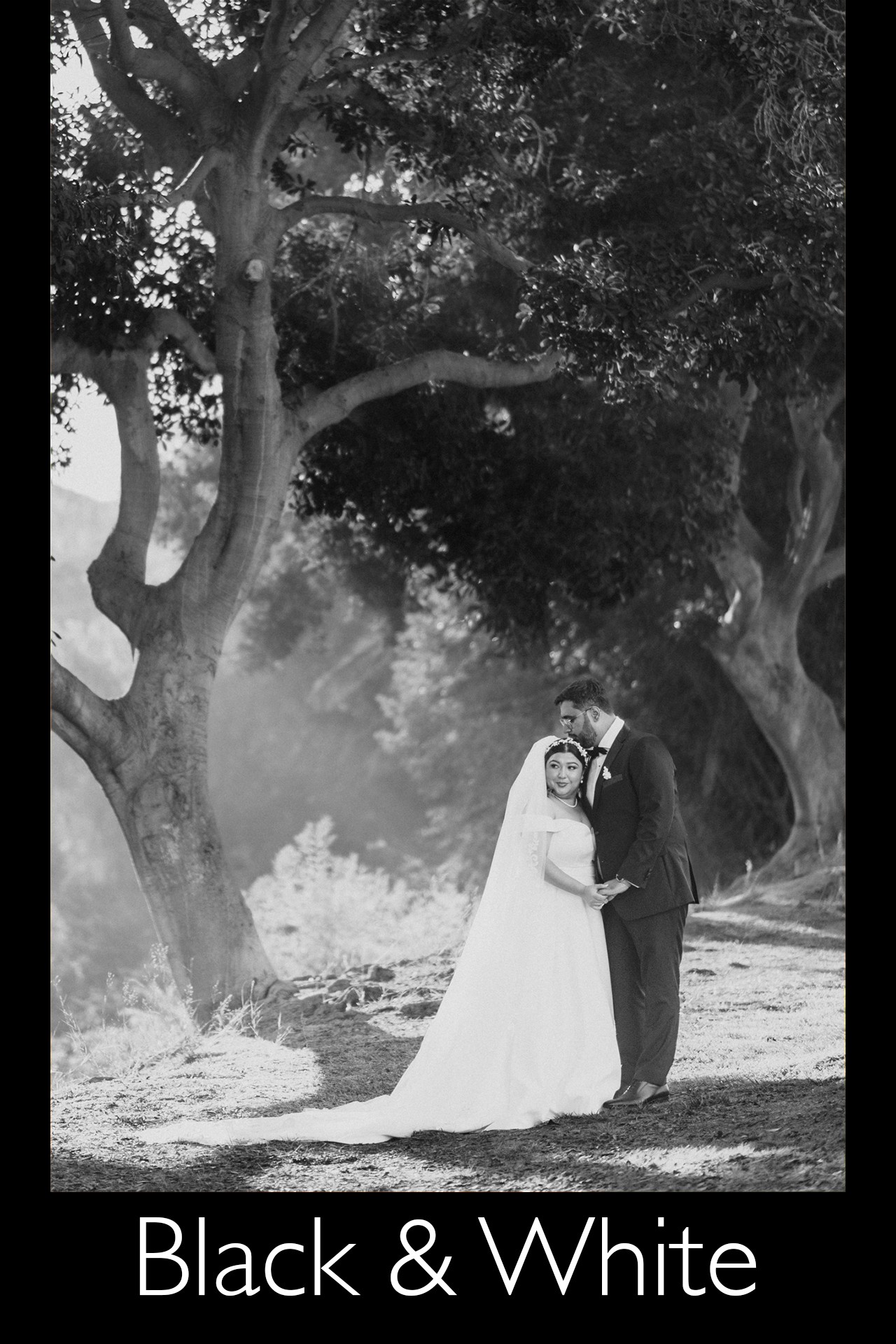 Wedding Photograph