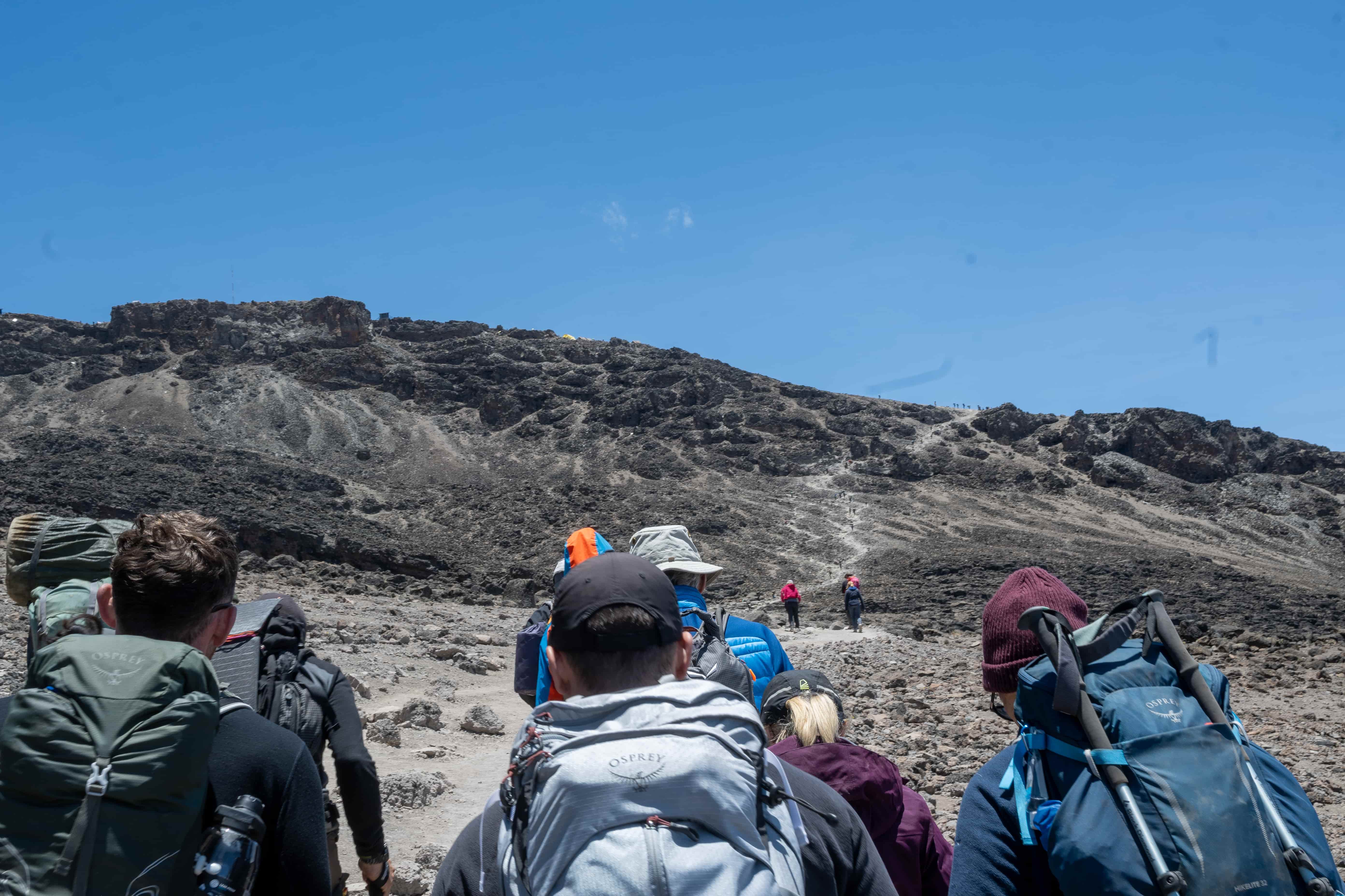 A Legend Expeditions group of beginner climbers walking through the moorland zone on Kilimanjaro in clear weather.