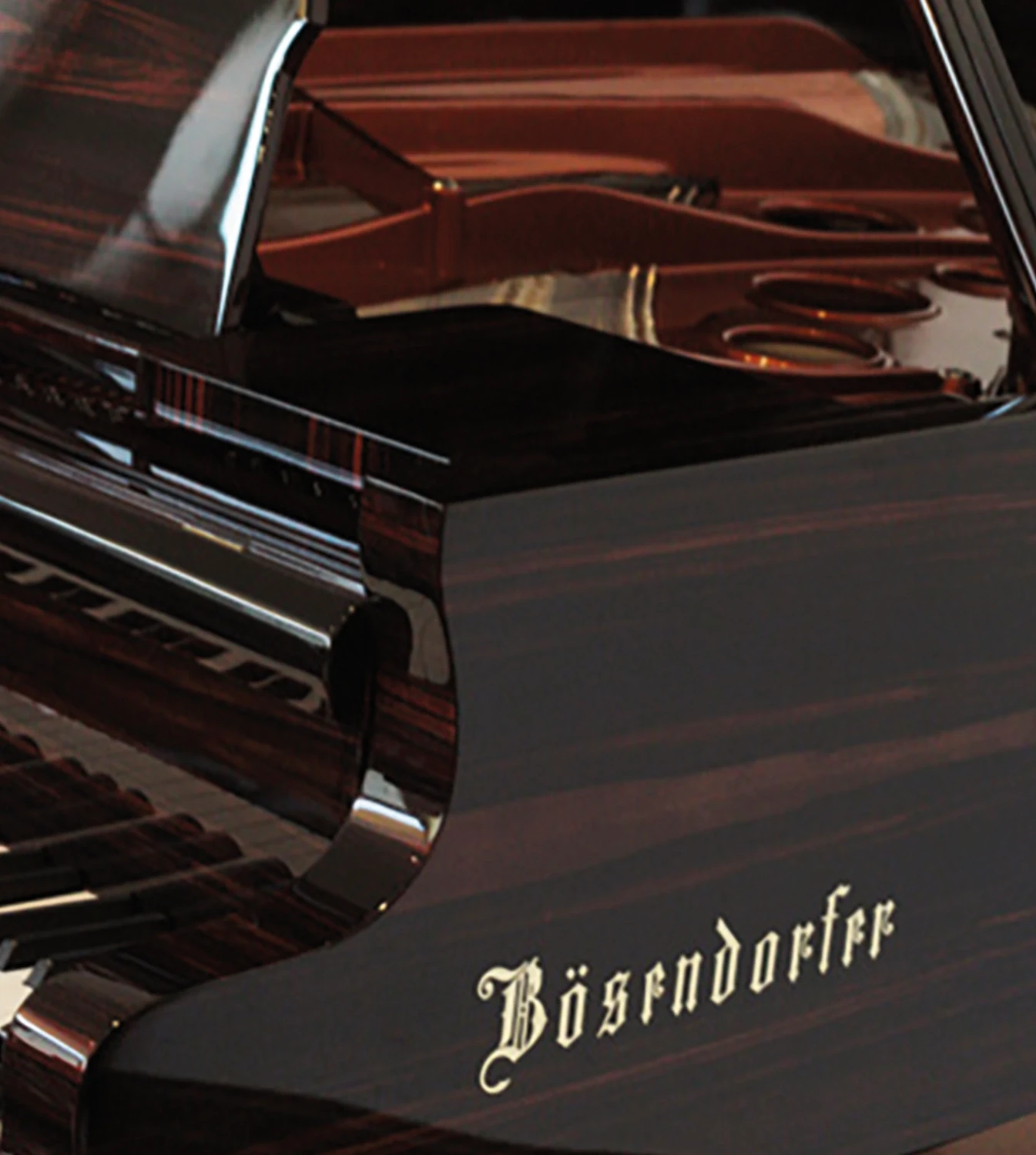 Detailed view of the piano’s casing, highlighting the rich Macassar wood grain and expert craftsmanship.