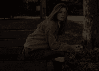 SEO and PPC service preview