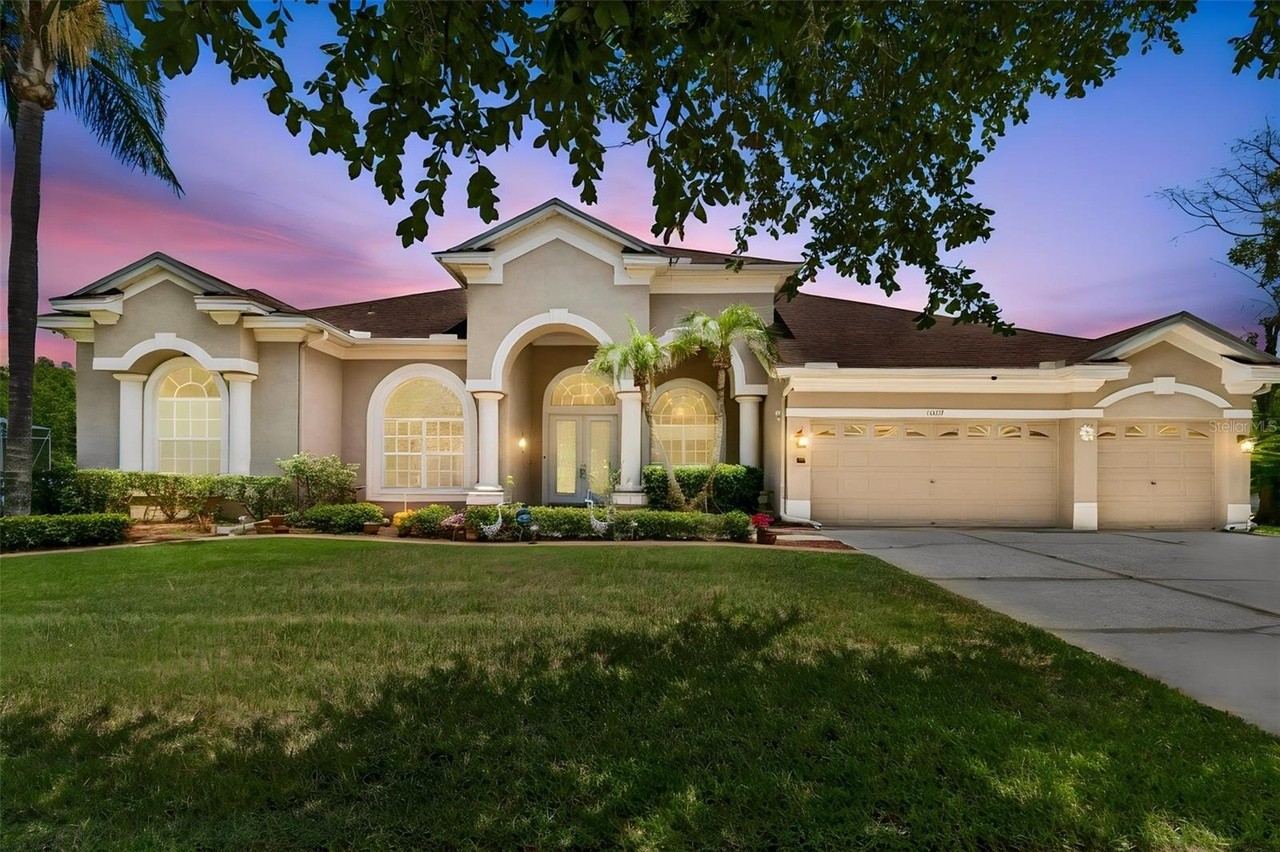 new-tampa-tampa-palms-pest-control-home-aloha