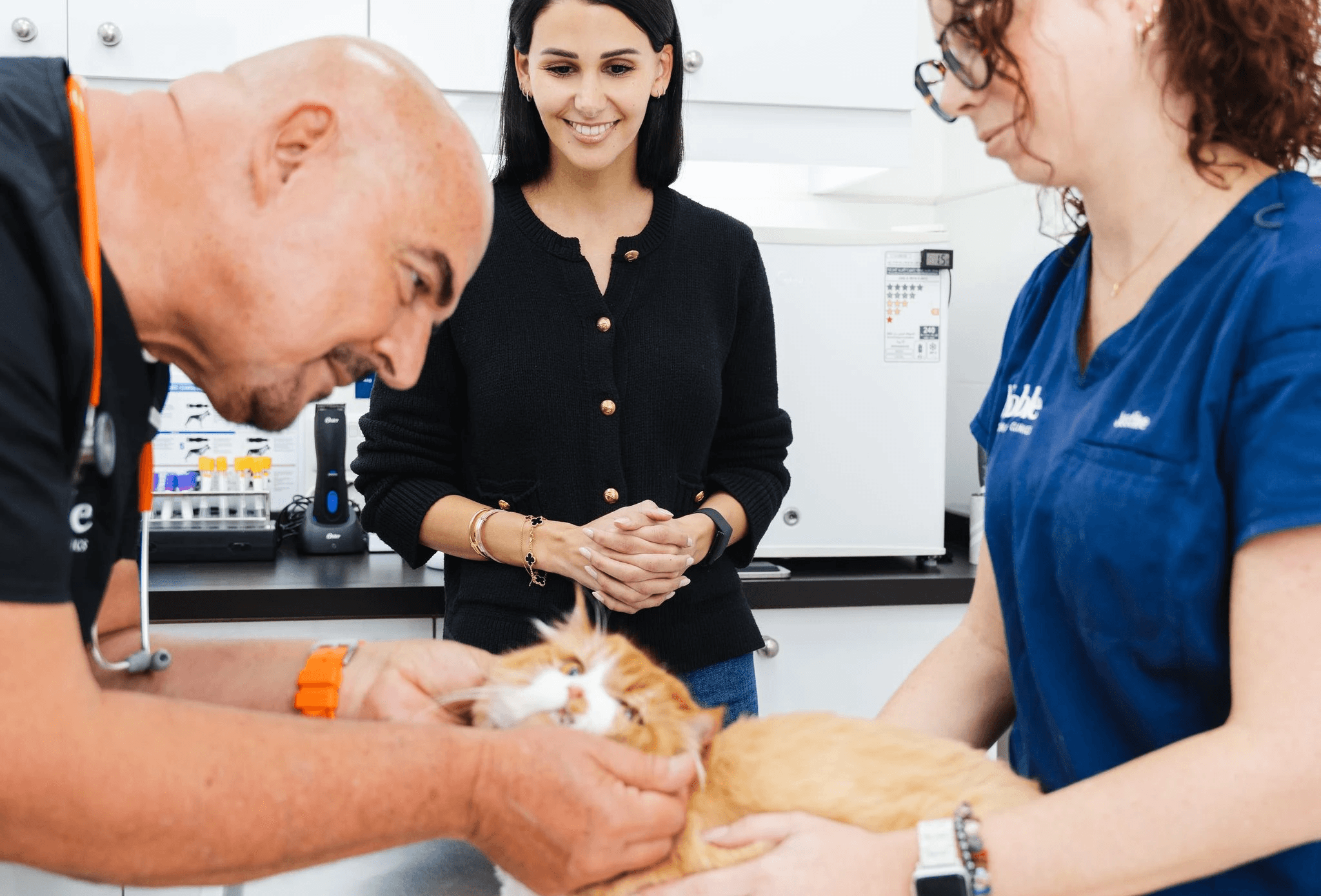 A veterinarian is holding an orange cat's face to check its gums for gingivitis. Another vet is keeping the cat still while the pet owner watches. 