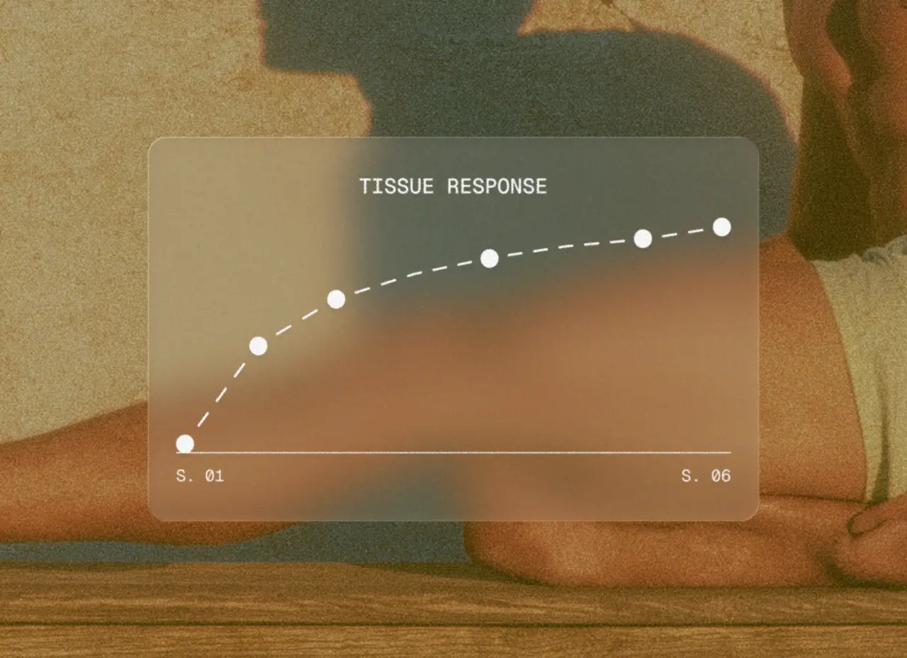Muscle lengthening over sessions with RobotRx