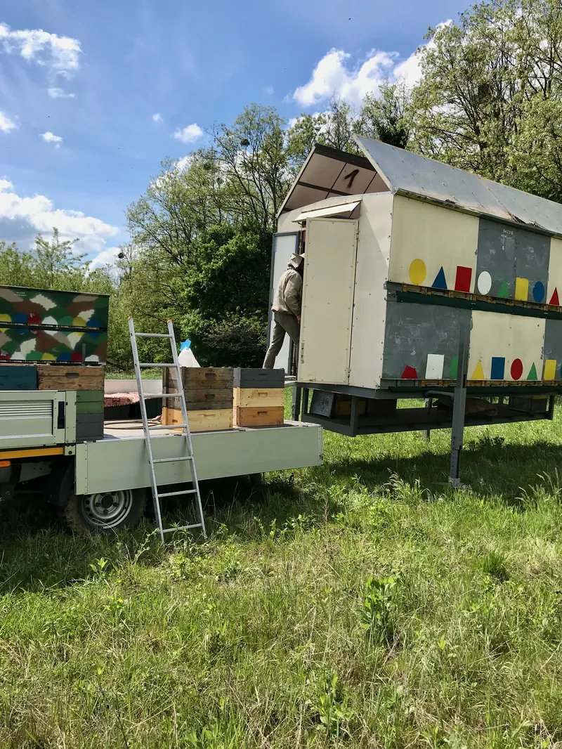 Munka a Bazsó Méhészetben