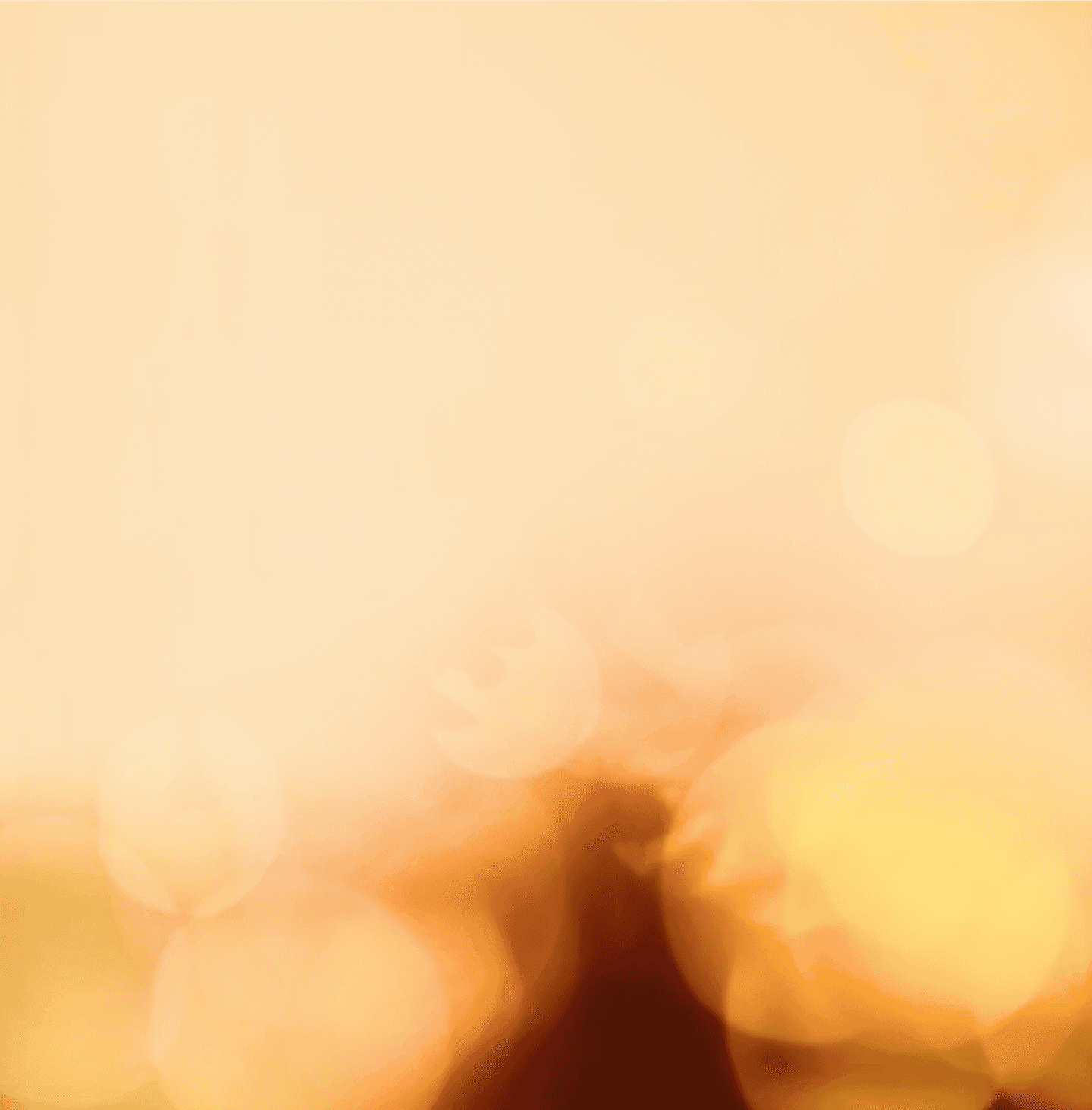 Visuel d'ambiance bokeh aux tons dorés et jaune lime