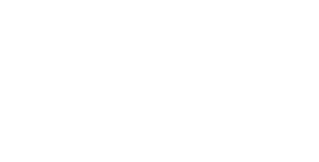 NAIA Logo