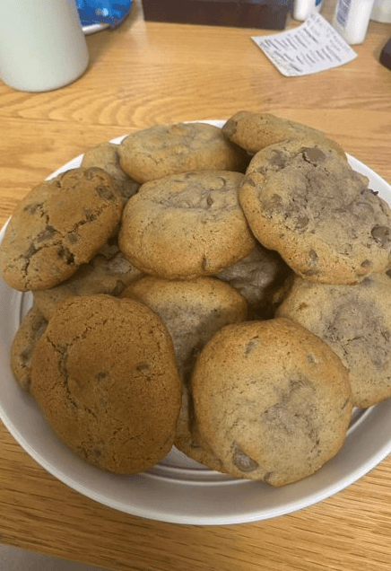 Students identifying and sorting edible wild plants as part of a foraging certification course.