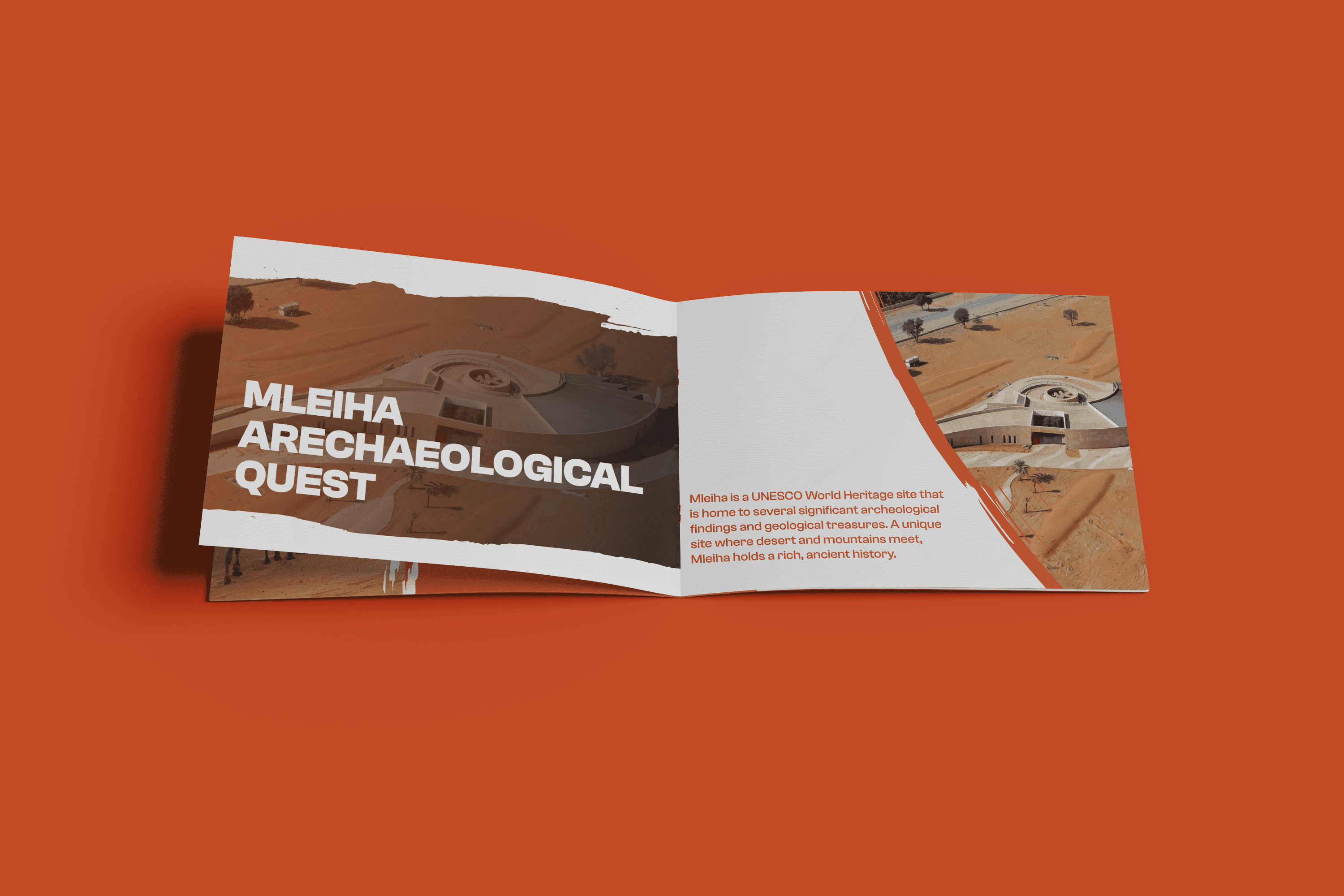 Large Project Gallery Image #1