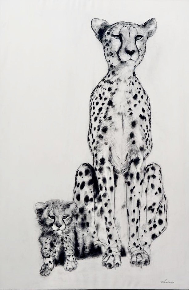 A detailed, pencil-drawn artwork depicts an adult cheetah sitting majestically beside a young cub, showcasing their distinctive black spots on a minimalist white background.