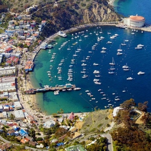 Catalina Island Day Trip with Discover Avalon Scenic Driving Tour