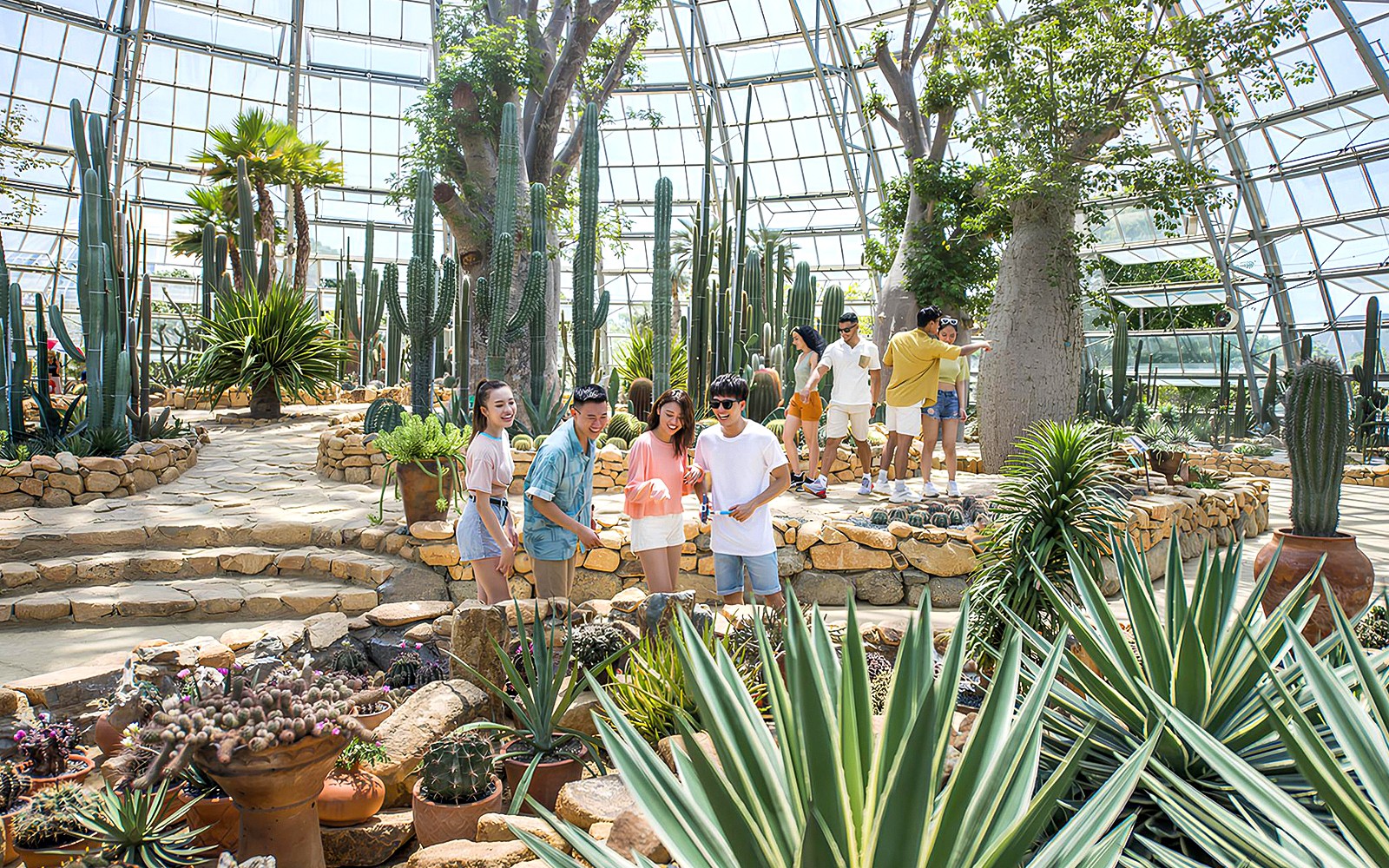 Visitors exploring cacti and succulents in the Garden of Five Continents greenhouse.