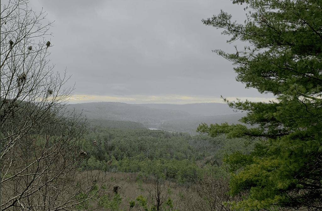 nature landscape