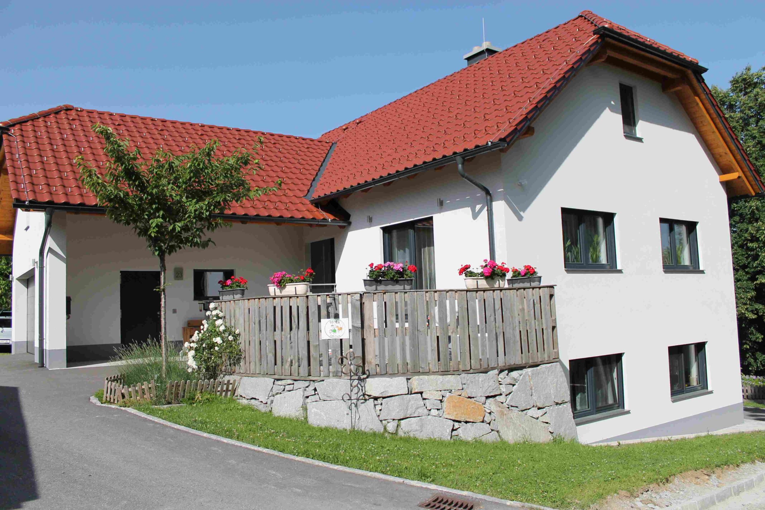 Close-up of lush, dark green leaves, some glossy and wet, against a muted background.
