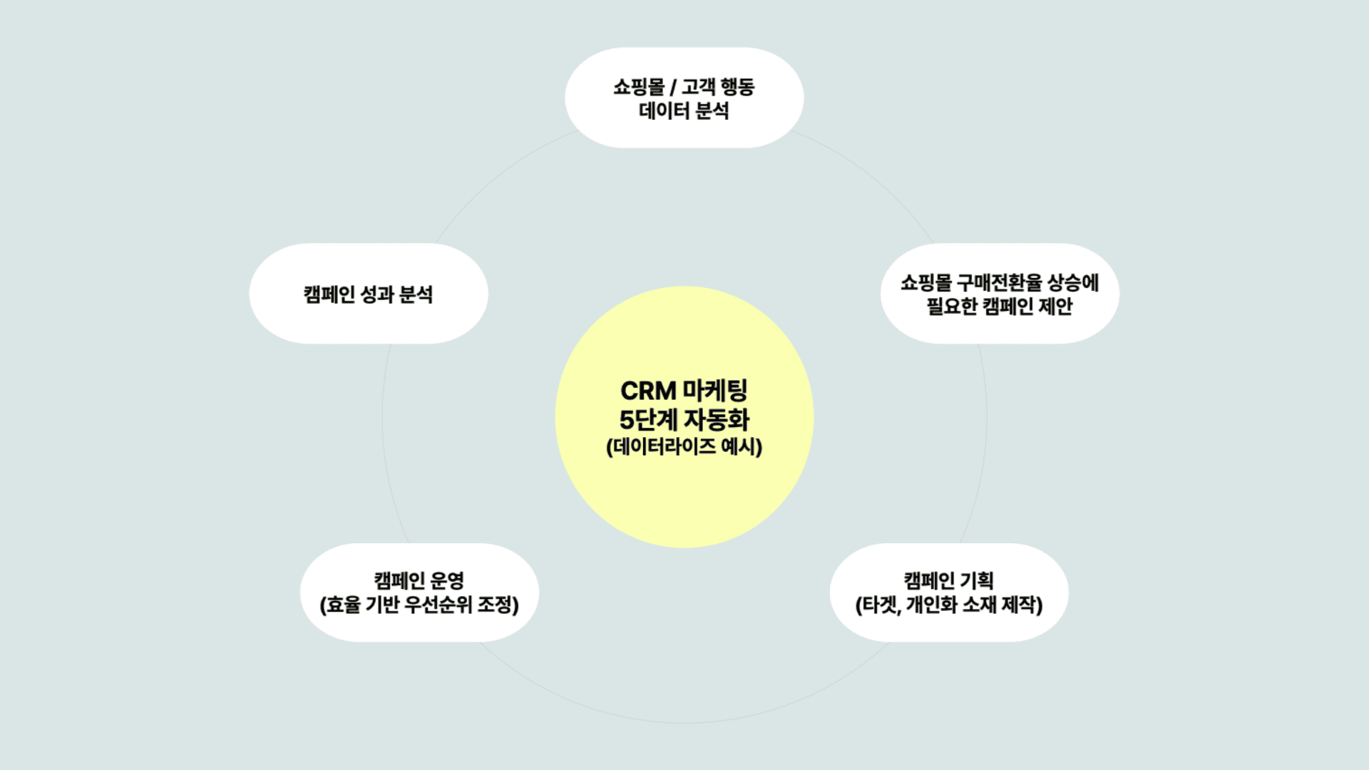 CRM 마케팅 솔루션 데이터라이즈