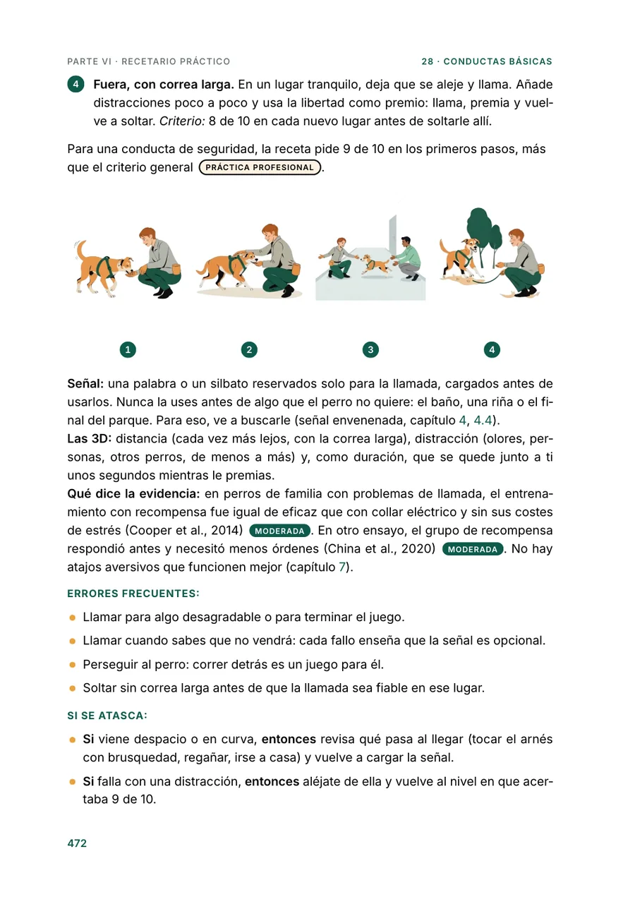 Segunda página de la receta de la llamada