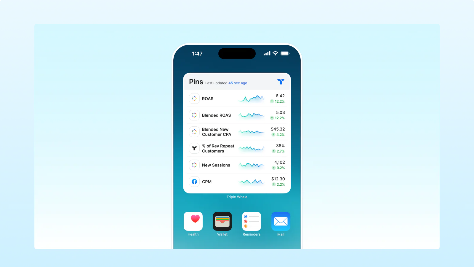 Triple Whale Shopify App