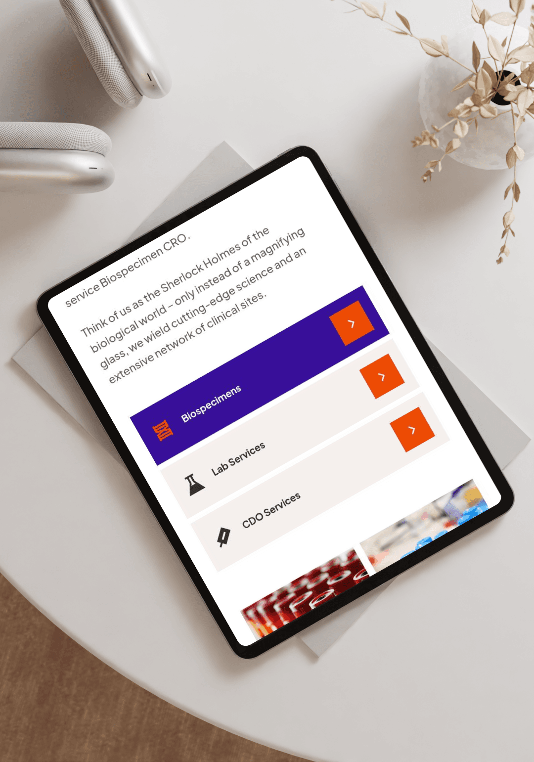 A mockup of screenshot from website