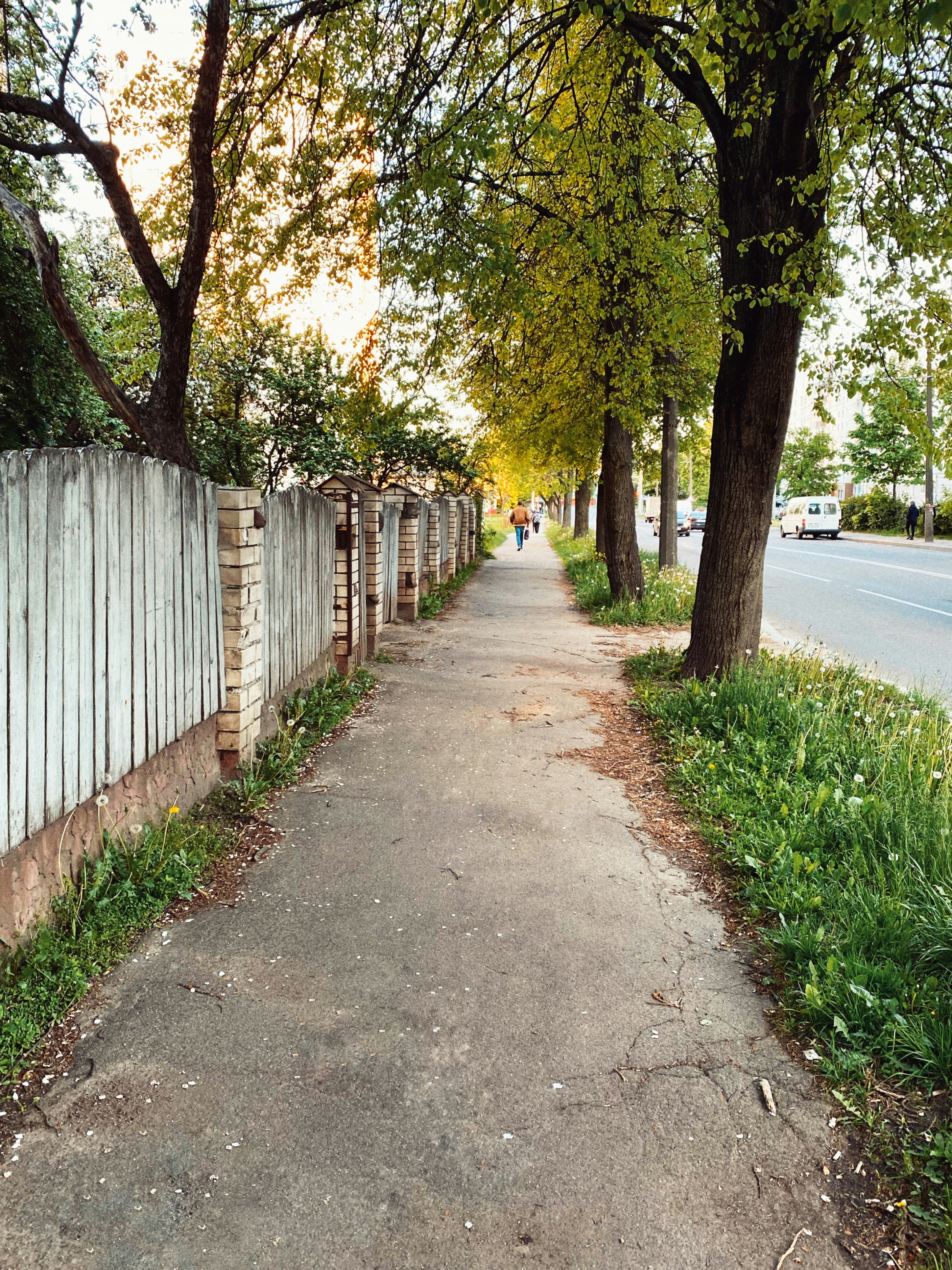 DIY Fence Repair Hacks You Need to Know – Number 3 Will Surprise You!