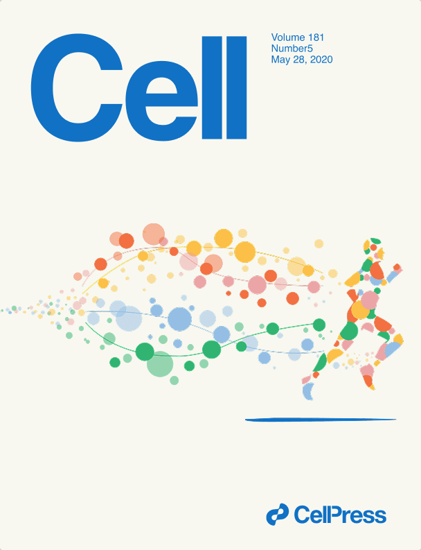 cell cover illustration by Kexin Cha