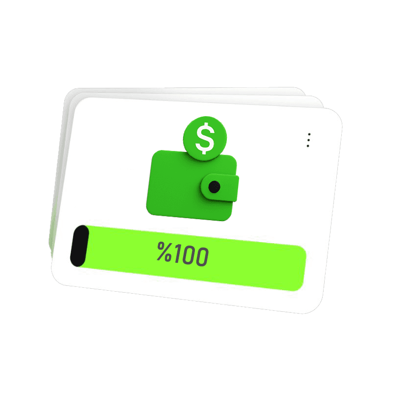 Daily limit card showing $2,500 spent, representing 12.5% of the total limit