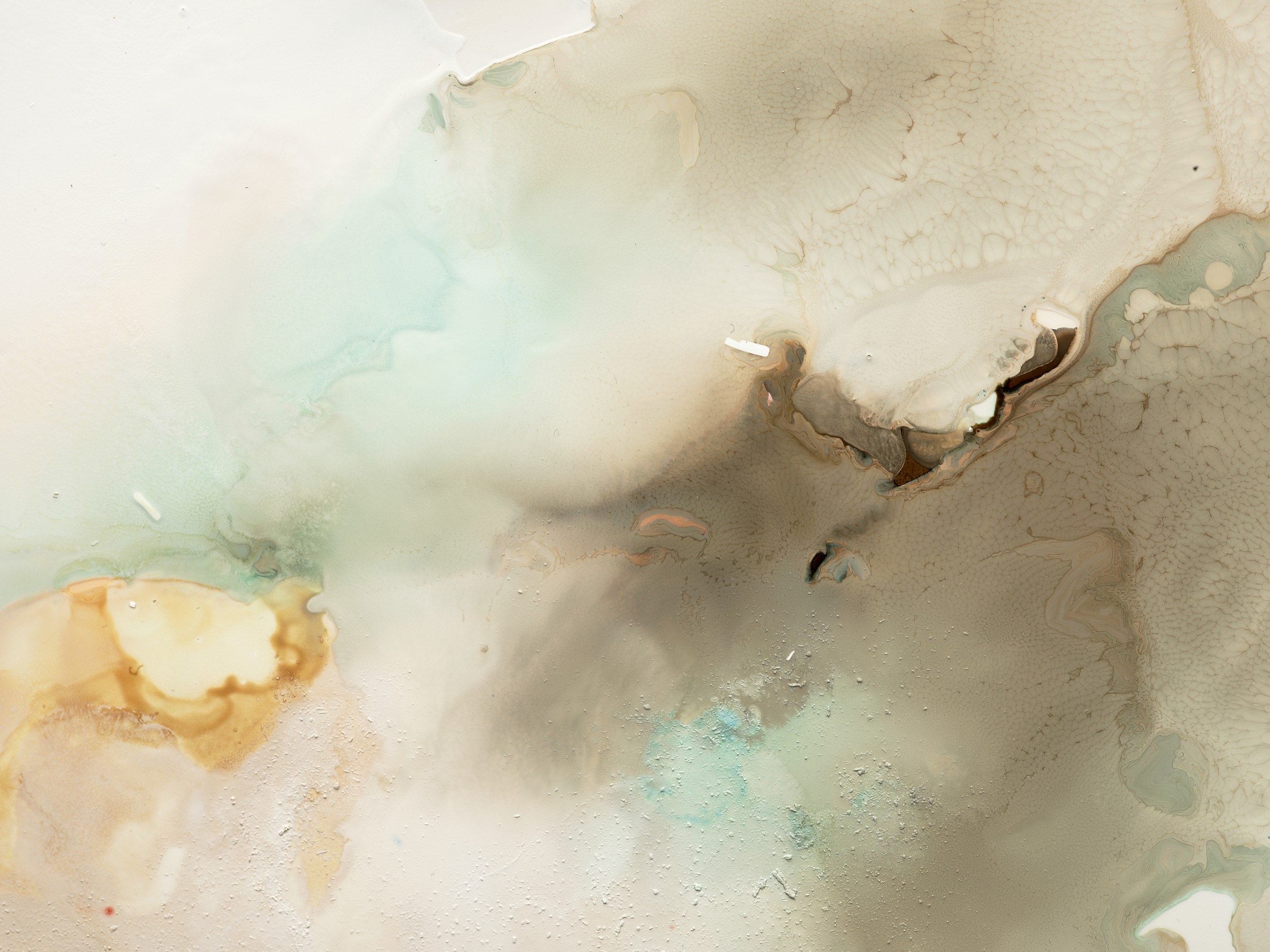 Fragments of&nbsp;Now Image #1