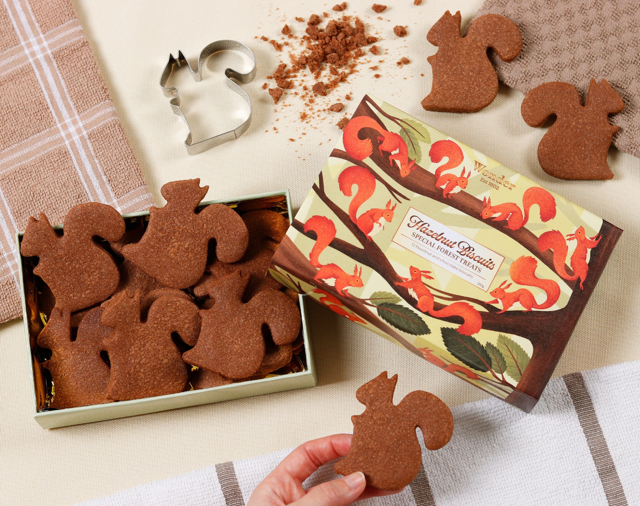 raccon on a tree illustration