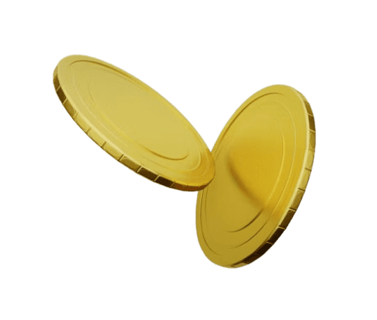 Coin Icon