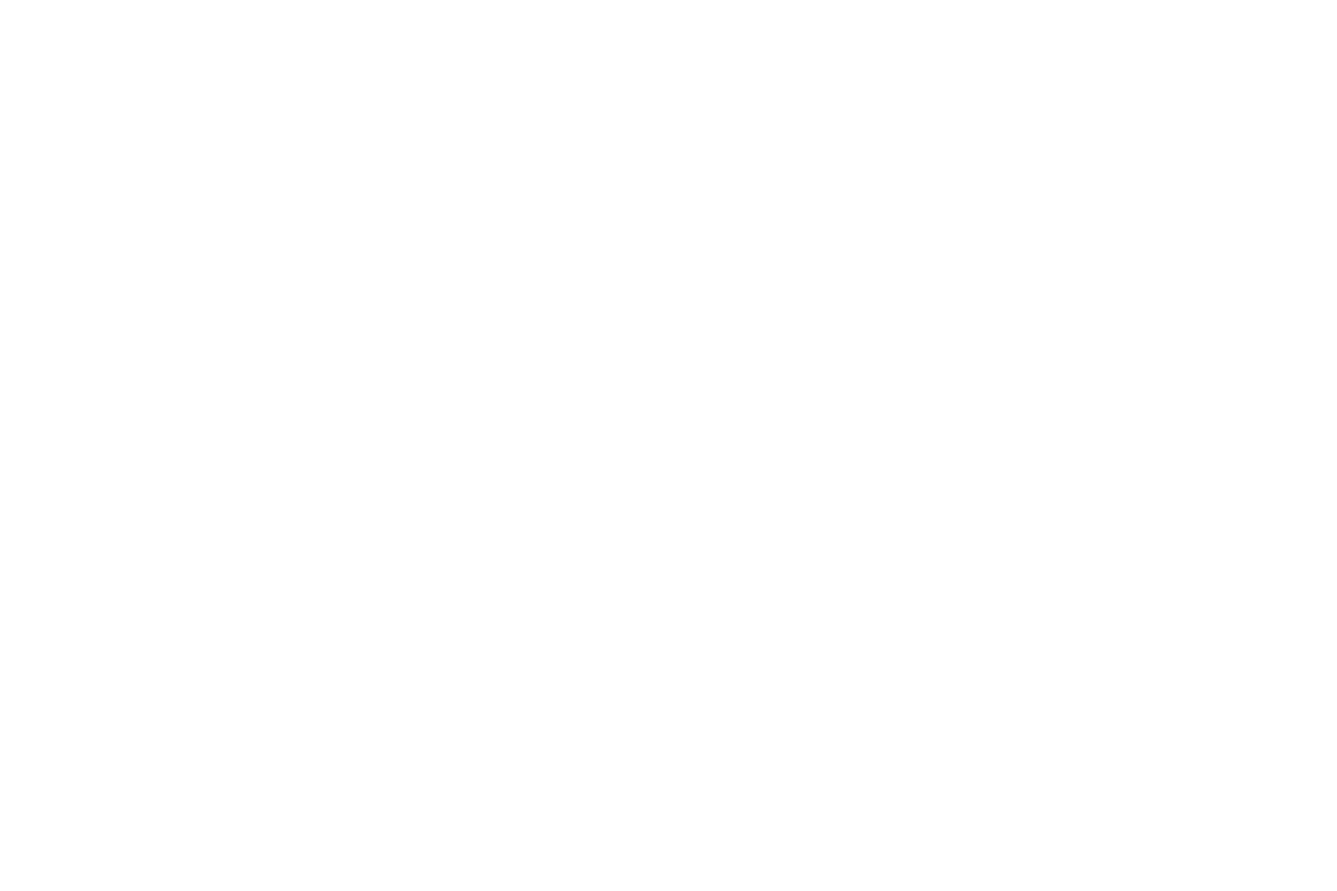 Skigaudi Logo