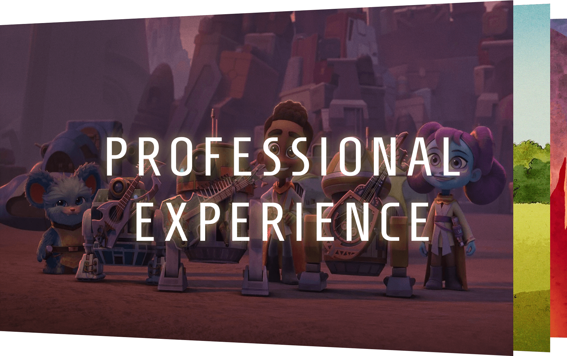Professional Experience