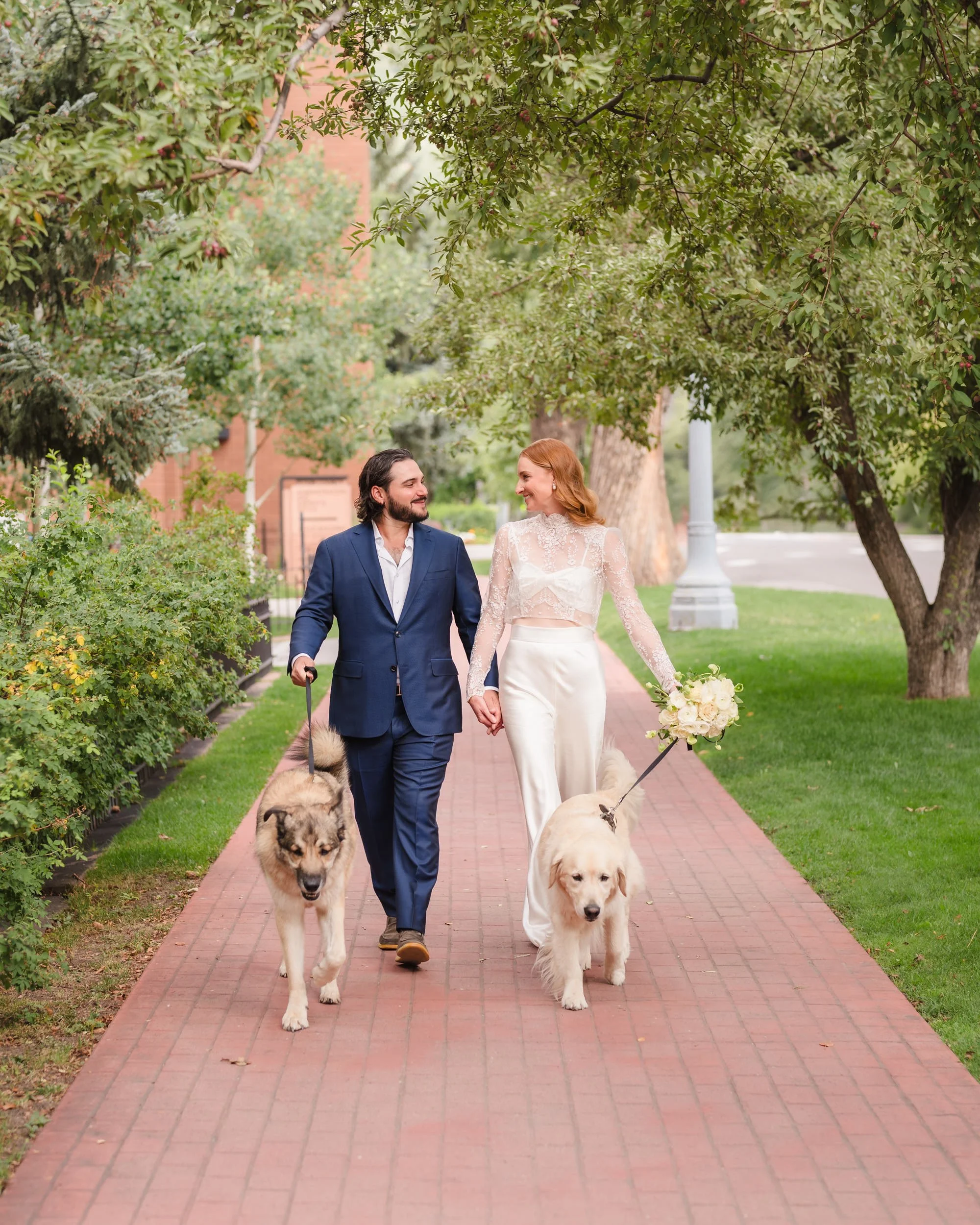 Aspen newlyweds walking together with their dogs