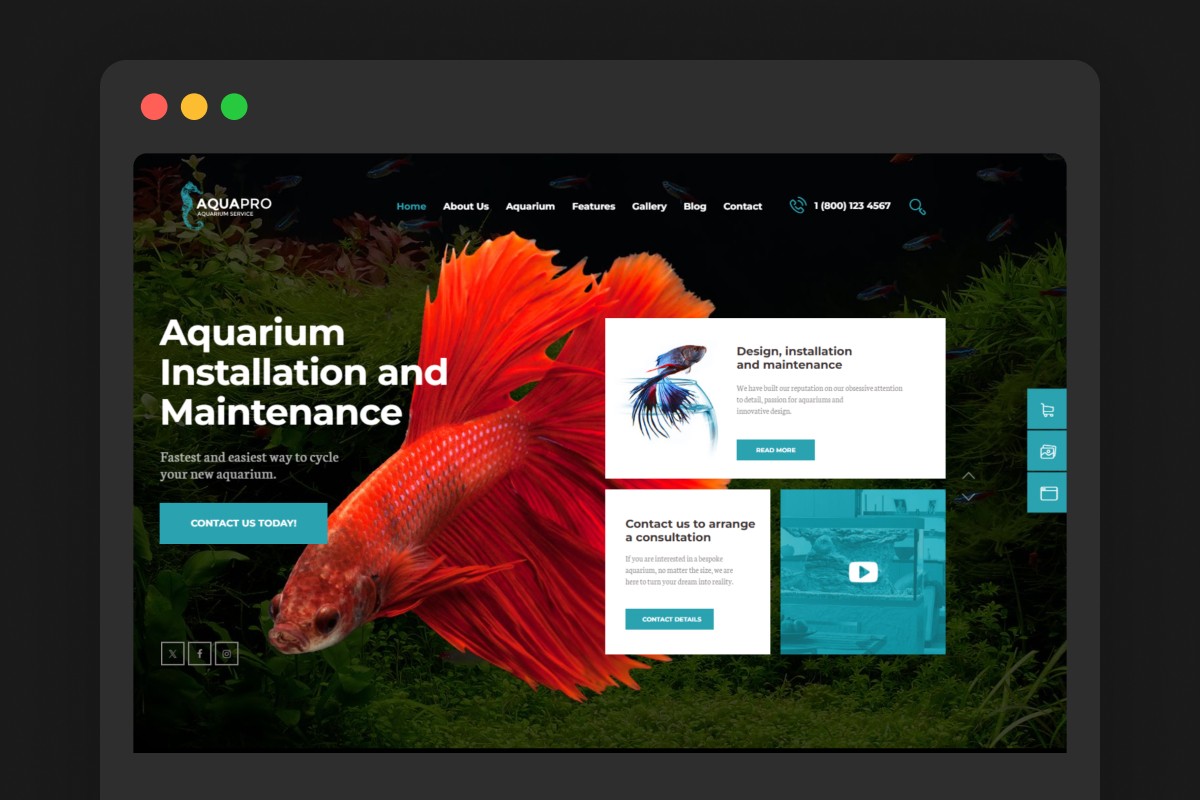 AquaPro WordPress theme homepage — aquarium installation and maintenance website with betta fish hero image and service cards