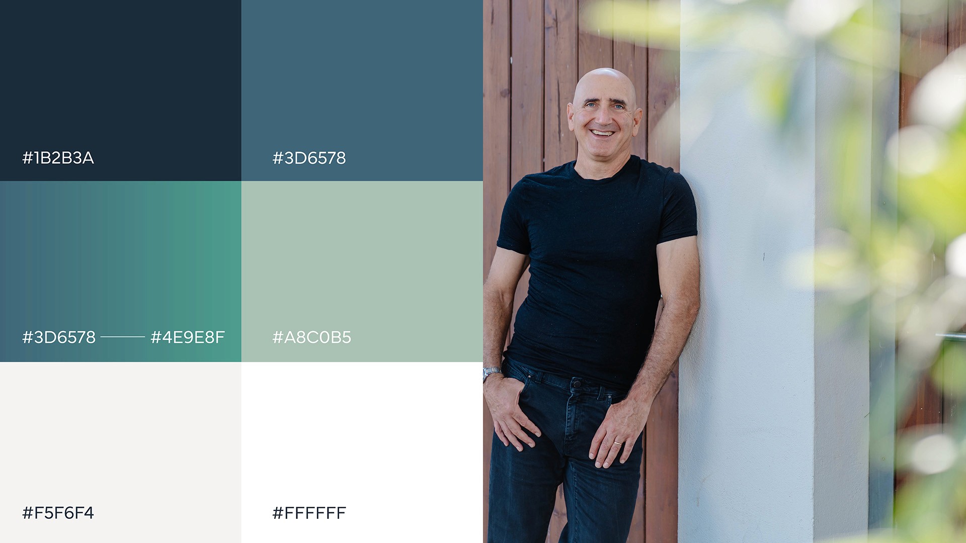 Dr. Howie Jacobson brand colour palette by Huw Mathias graphic designer.