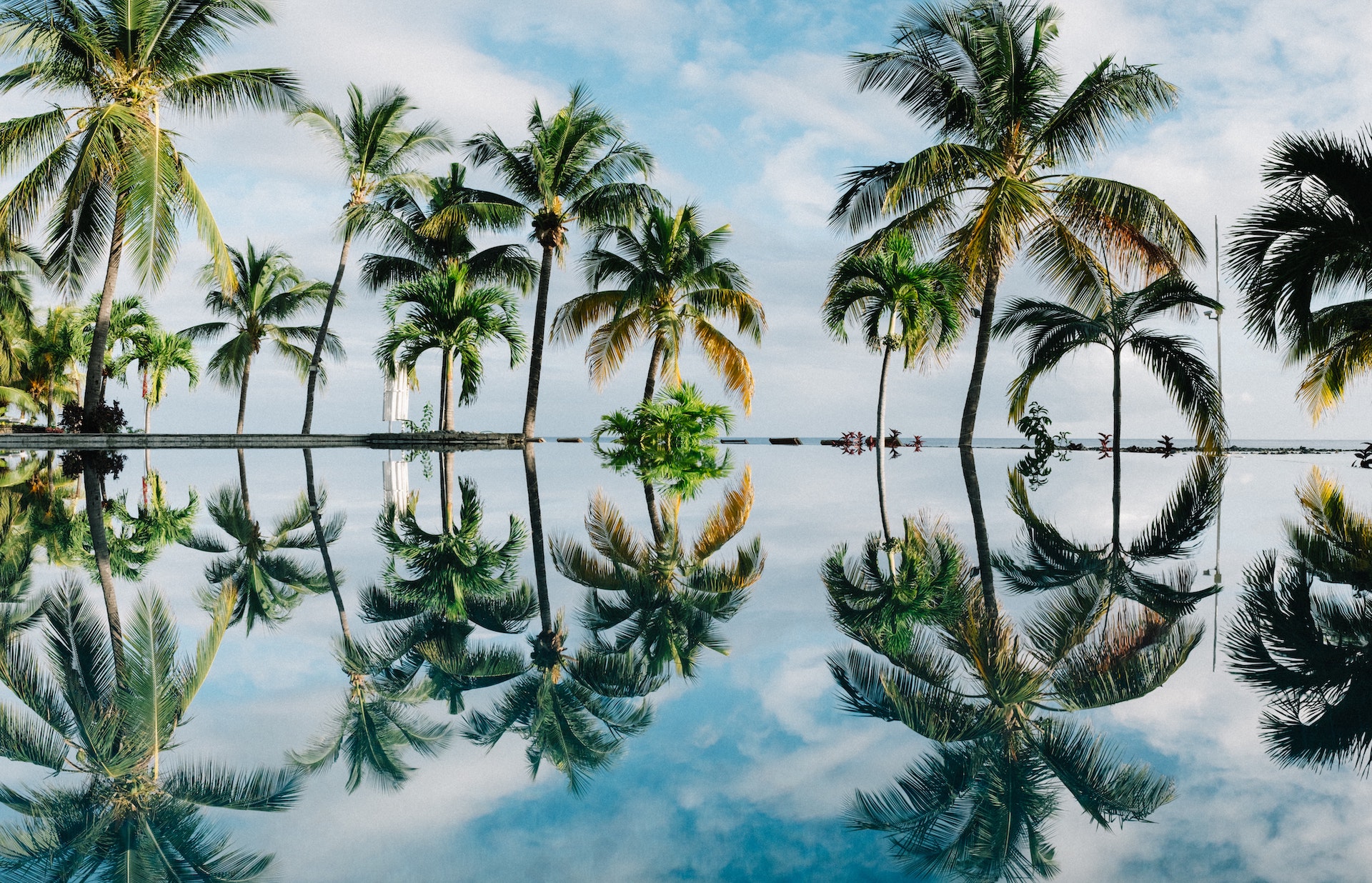 SEO Agencies in Hawaii