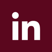 Dribbble Icon