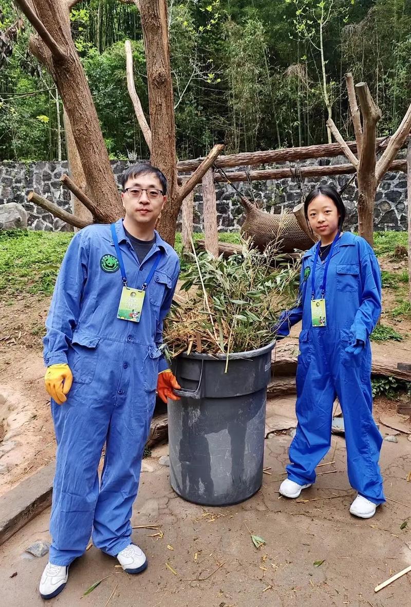 What Does a Panda Volunteer Actually Do?